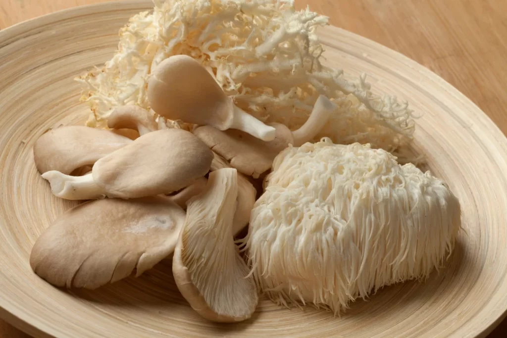 Bowl with coral fungus, Lion's Mane Mushroom and oyster mushroom