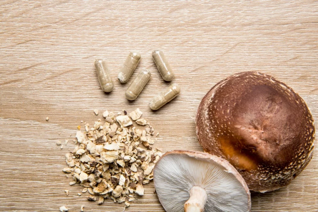 Shiitake Lentinus edoides mushroom supplement capsules