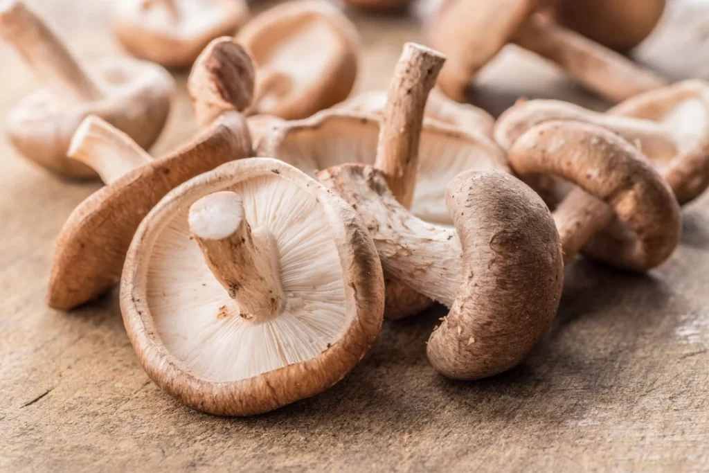 Shiitake-mushrooms.