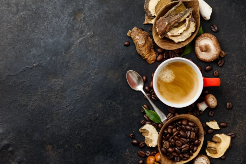 Mushroom Chaga Coffee Superfood Trend-Dry and Fresh Mushrooms and Coffee Beans