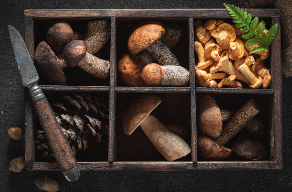Stuffed With Health Benefits, Mushrooms Have Gone Mainstream - Mushroom ...