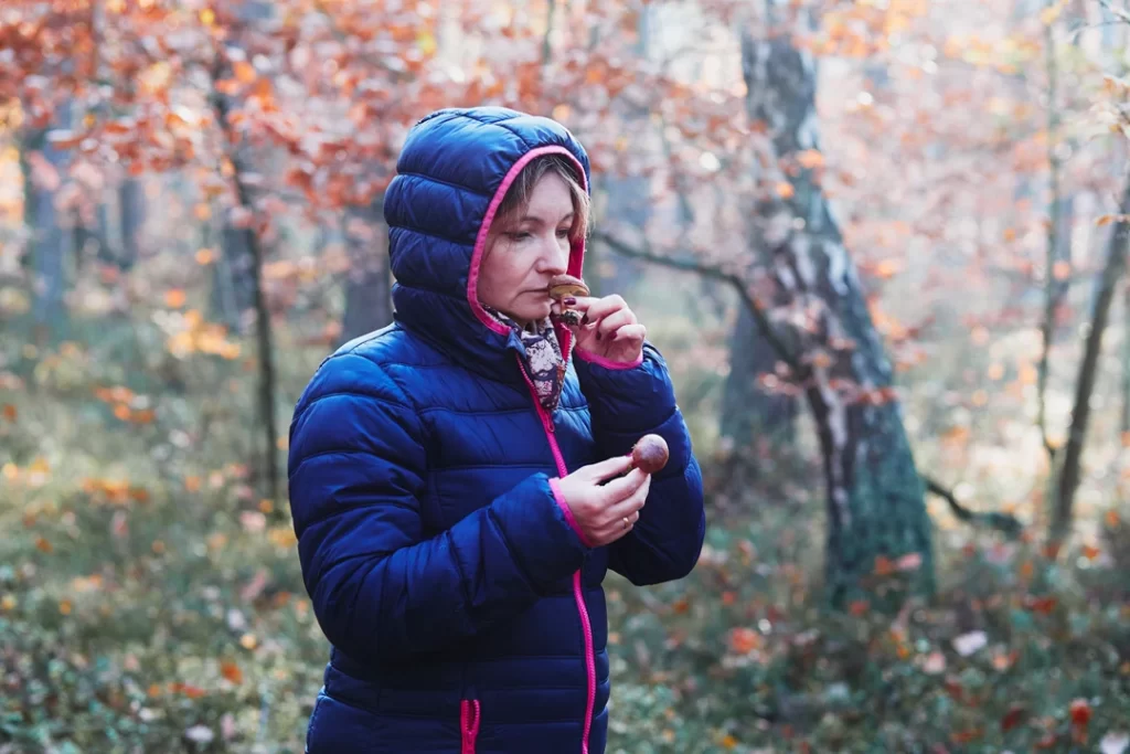 woman smelling trying to identify real mushroom picked in forest for getting polysaccharide benefits