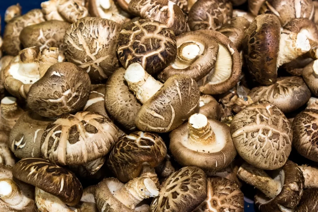 Shiitake mushrooms for mental anxiety and depression.