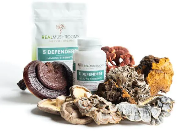 real mushrooms products for brain enhancement