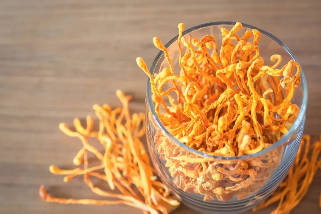 cordyceps mushrooms in a glass. 