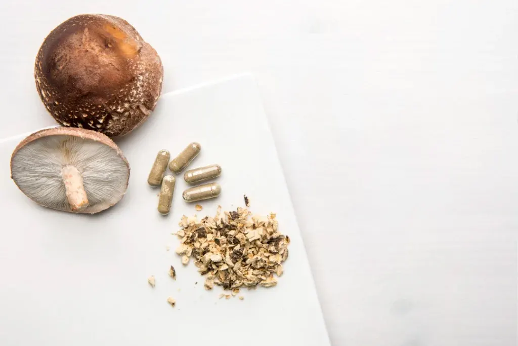 Reishi Mushroom and supplyments
reishi best mushroom supplements for brain
