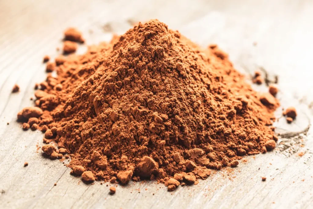 Chaga mushroom Powder