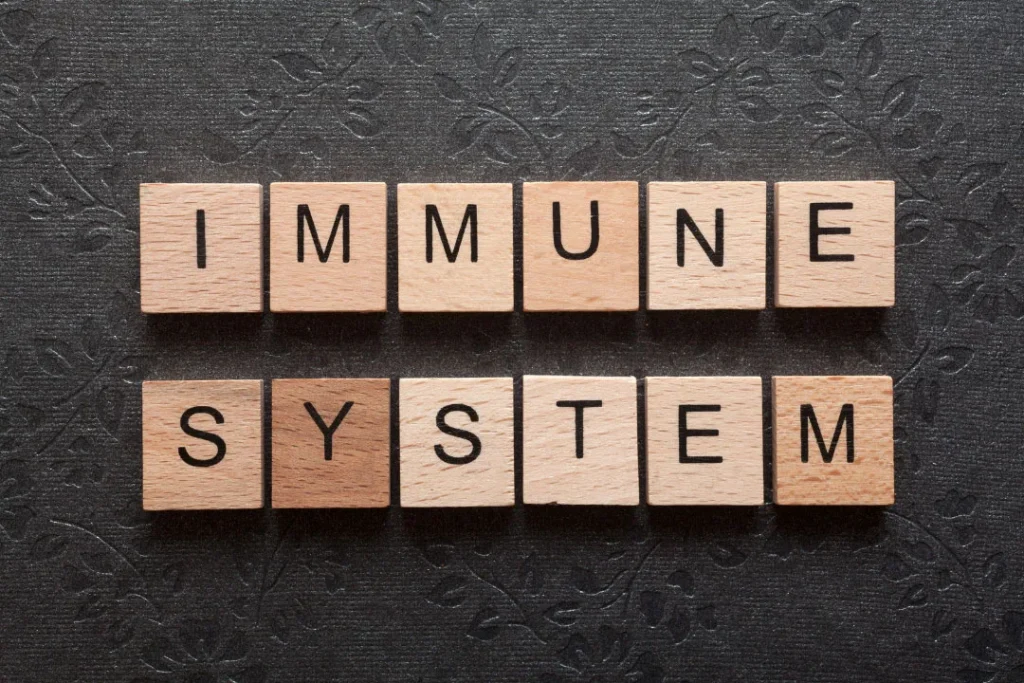 Immunity system. 