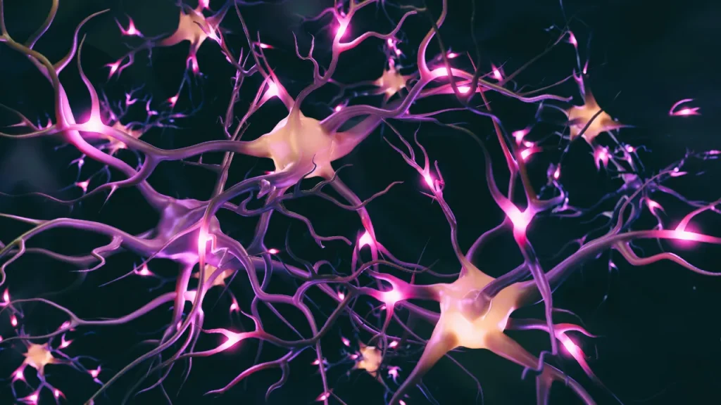 brain Neurons