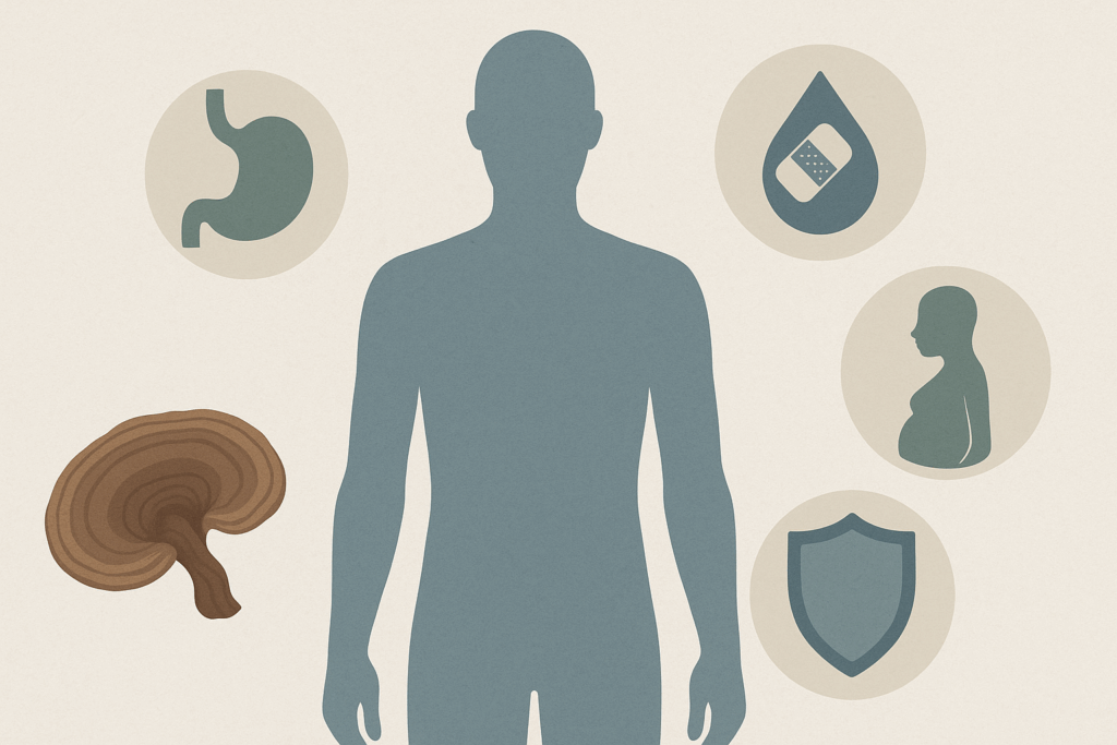 Minimalist infographic showing human body effects of best reishi mushroom supplement on digestion, immunity, and pregnancy