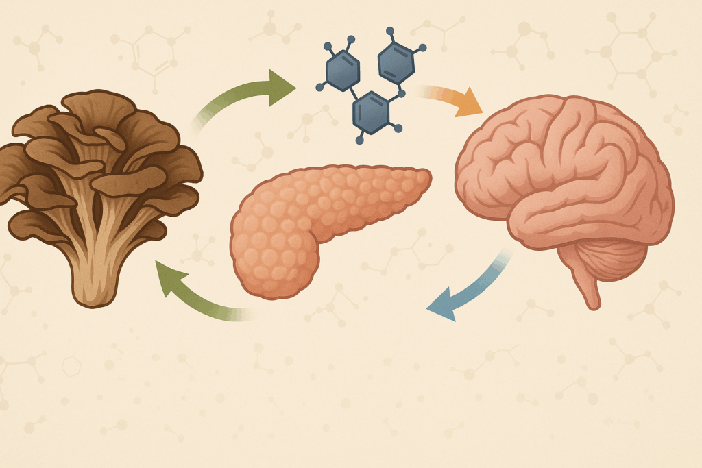 Infographic showing Maitake mushroom's role in blood sugar regulation and cognitive improvement through insulin sensitivity and brain clarity.